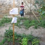 Arrosage des plantations