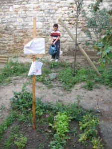 Arrosage des plantations