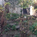 Jardin avant le réaménagement de 2016