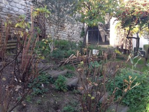 Jardin avant le réaménagement de 2016
