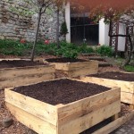 Rénovation du jardin