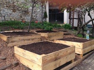 Rénovation du jardin